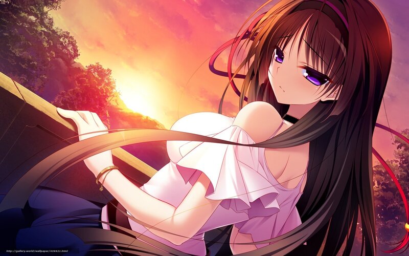 anime girl at sunset