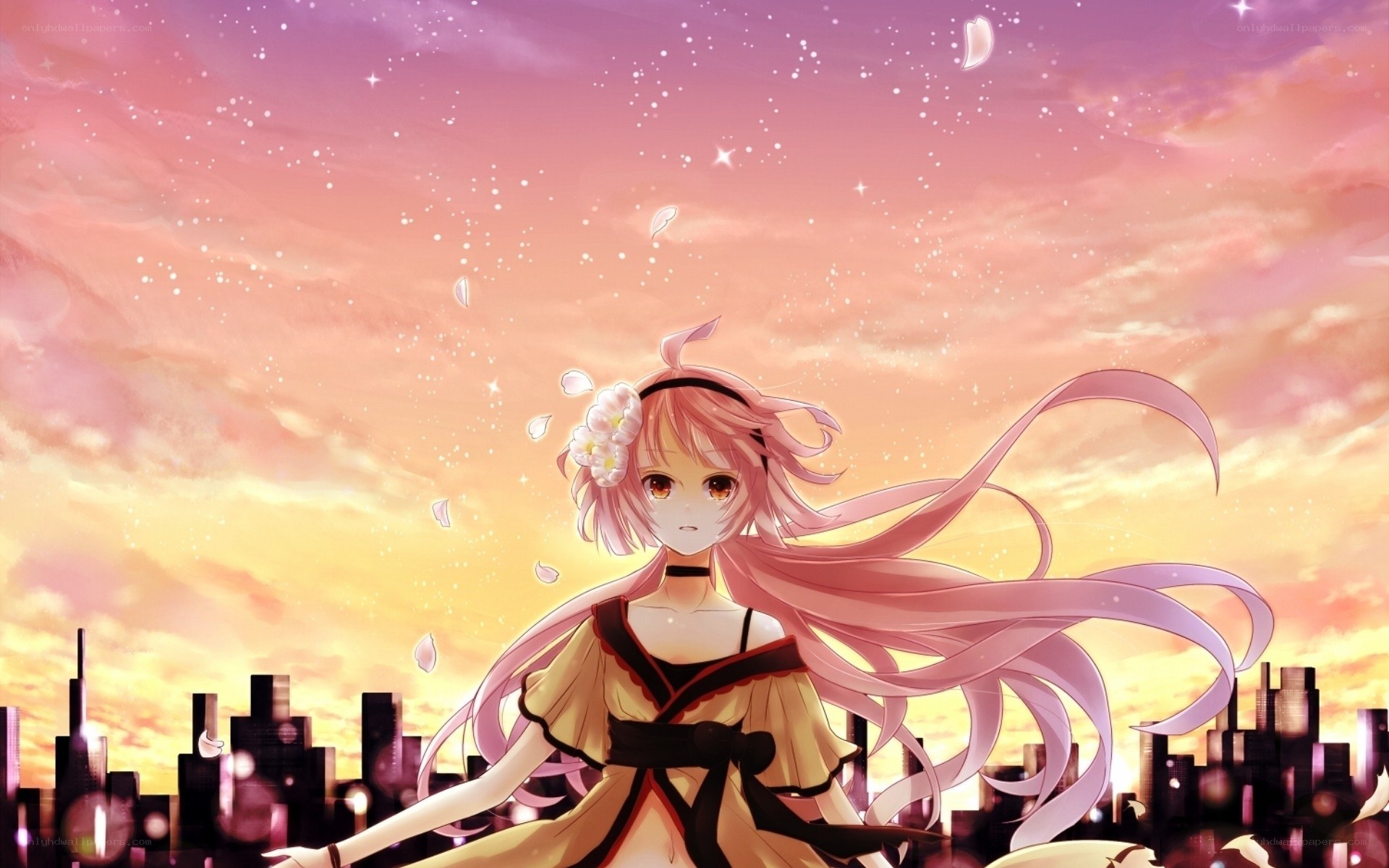 anime girl at sunset
