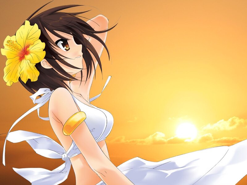 Anime girl at sunset