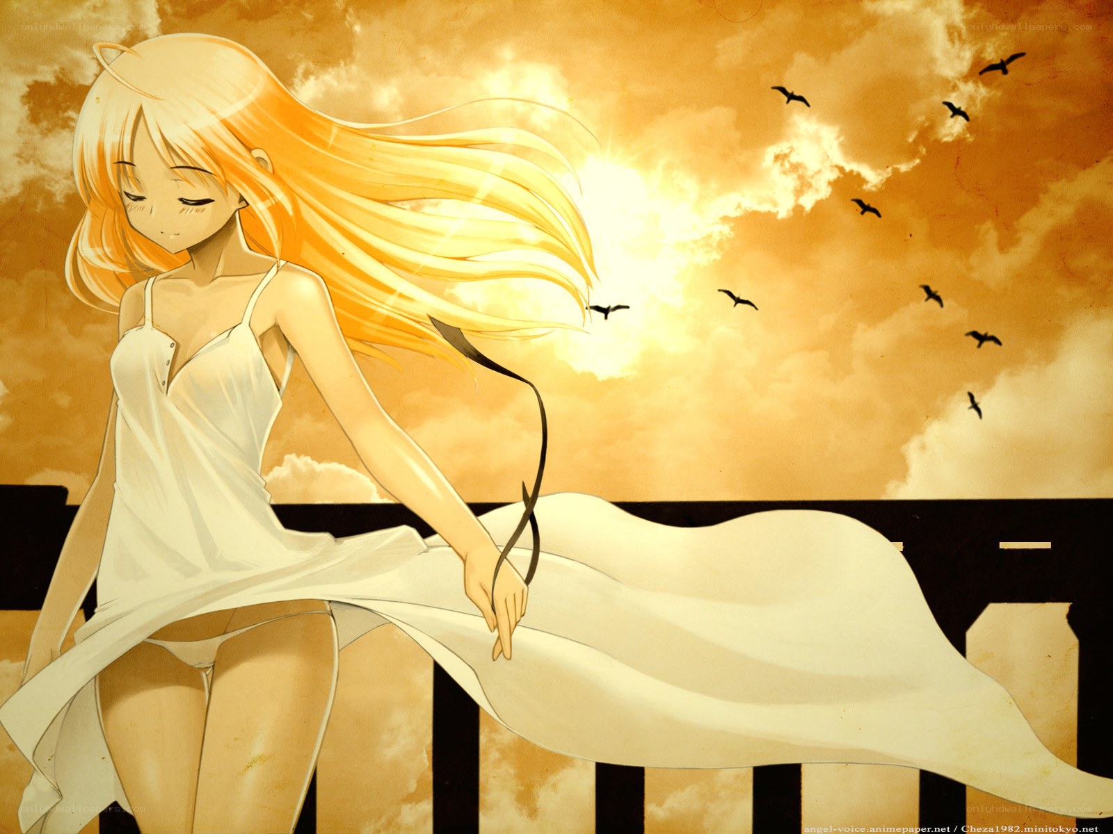 Anime girl at sunset
