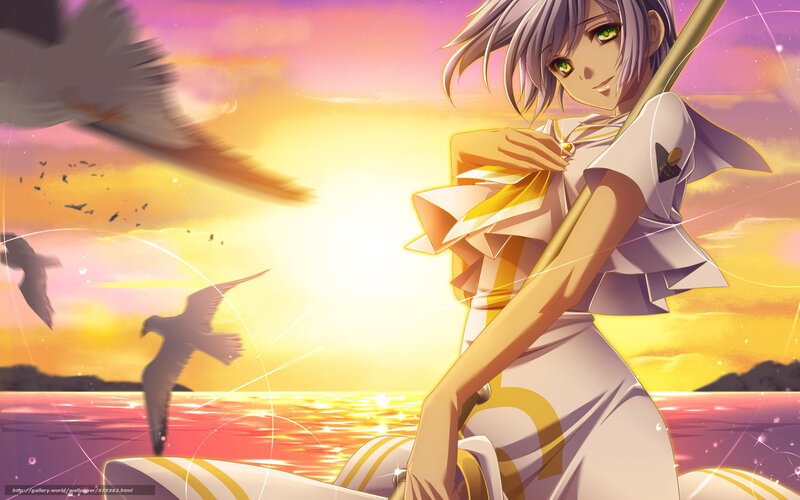 Anime girl at sunset with birds