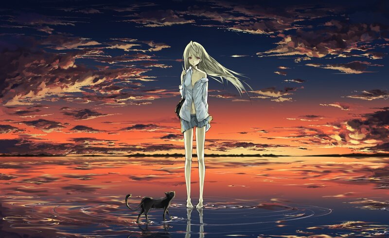 Anime girl at sunset with cat