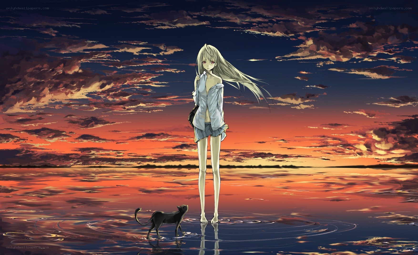 Anime girl at sunset with cat