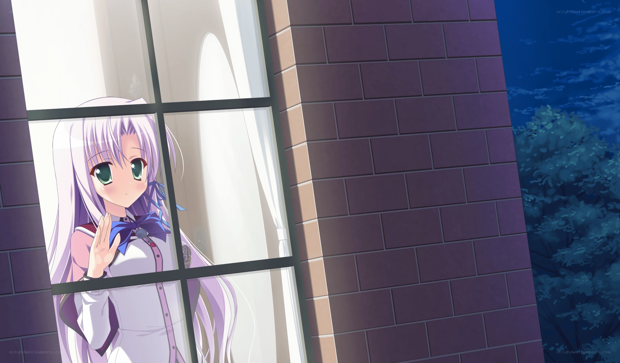 anime girl at window