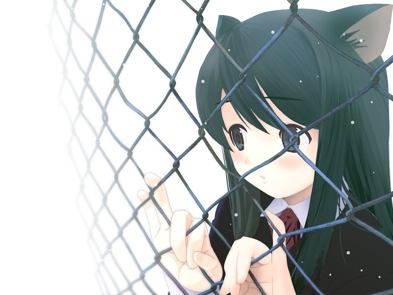 anime girl behind fence