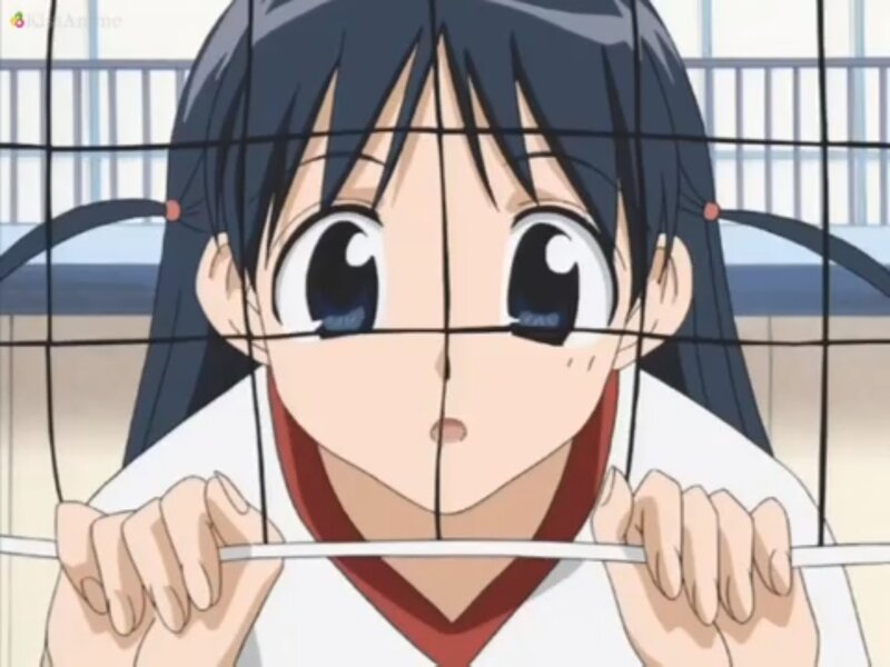 Anime Girl Behind Net