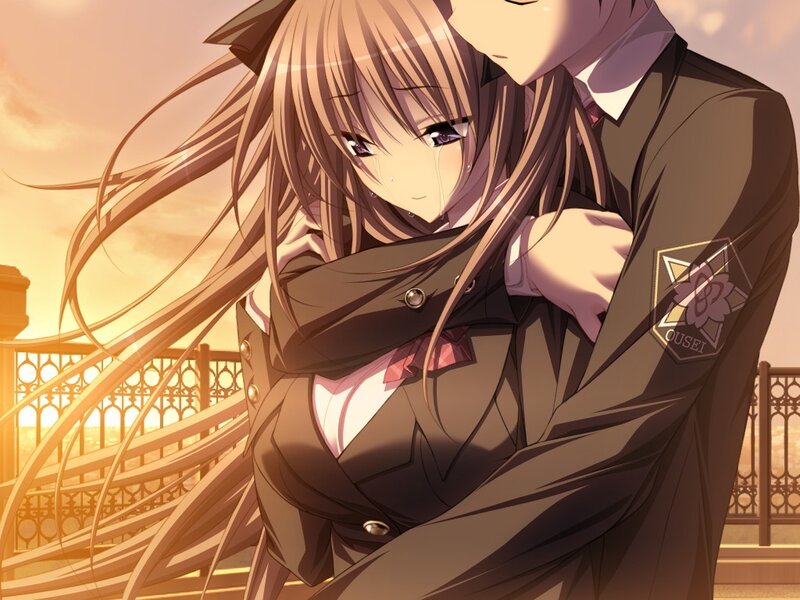 Anime Girl Being Hugged — Brown