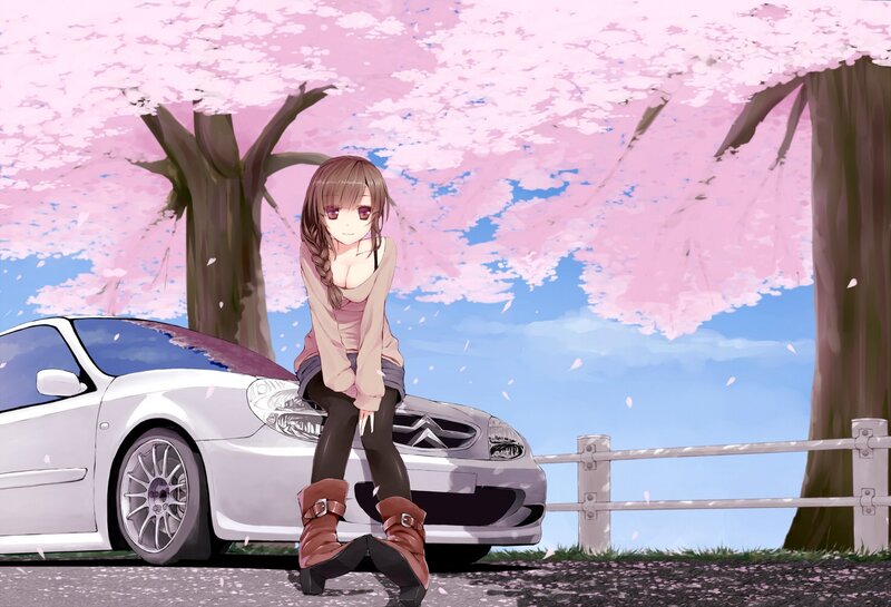 anime girl by cherry blossoms