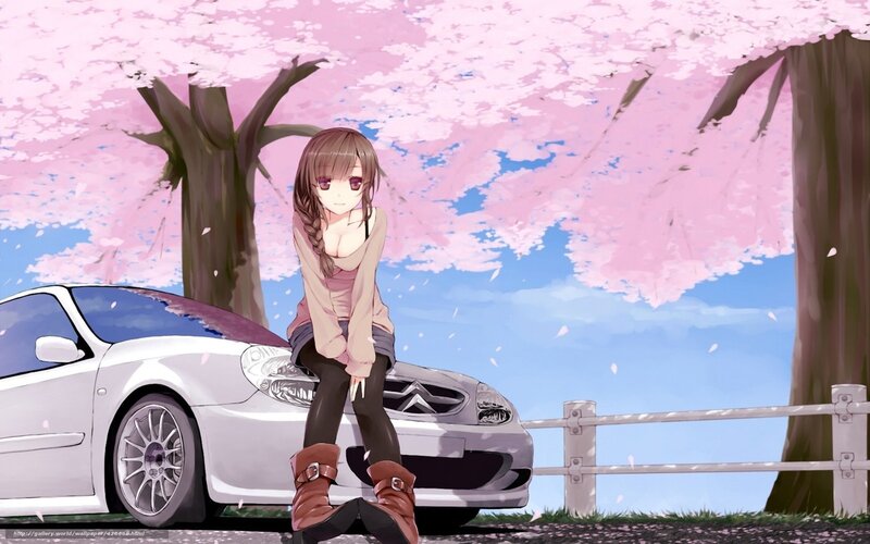 Anime girl by cherry blossoms