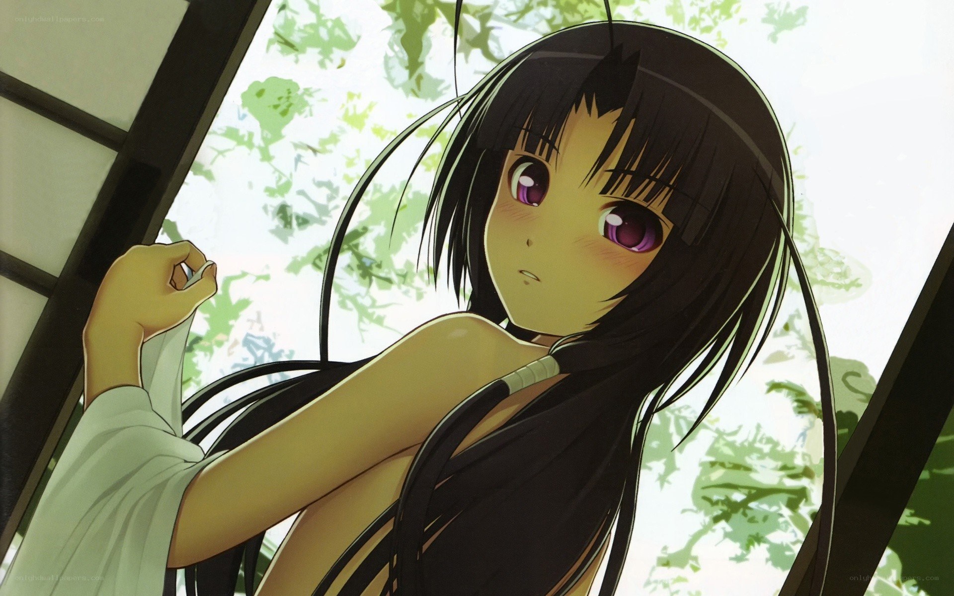 anime girl by window