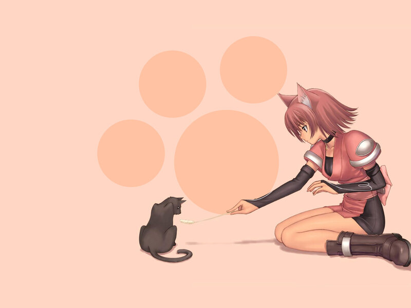 Anime Girl Feeding Cat — Pink, Calm