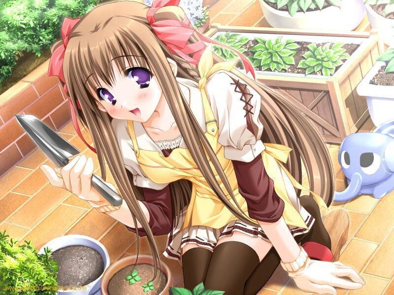 Anime girl gardening