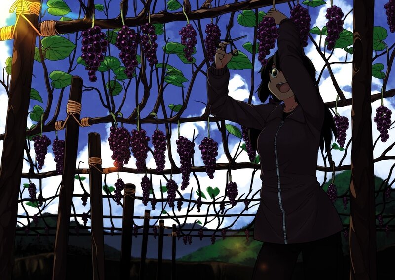 Anime girl harvesting grapes