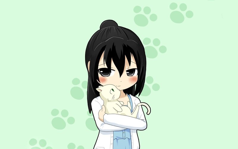 anime girl holding a cat