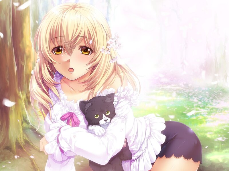 Anime girl holding a cat
