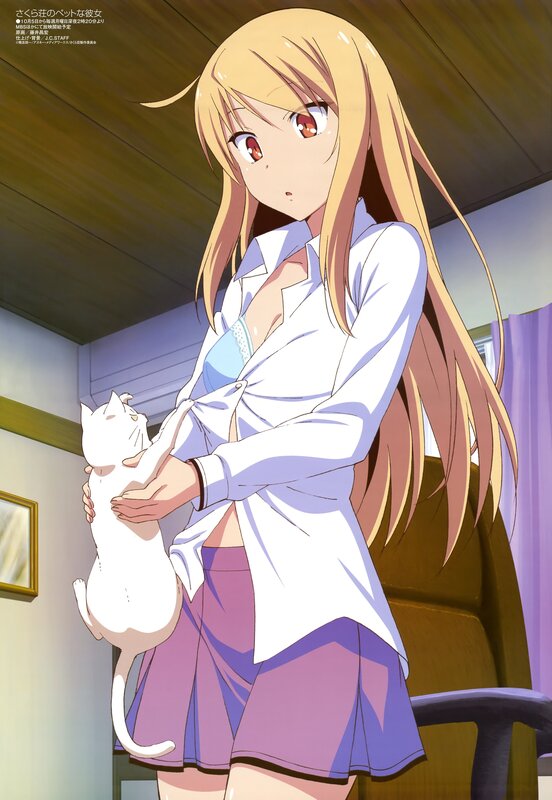 Anime girl holding a cat