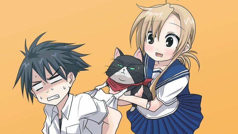 Anime girl holding a cat