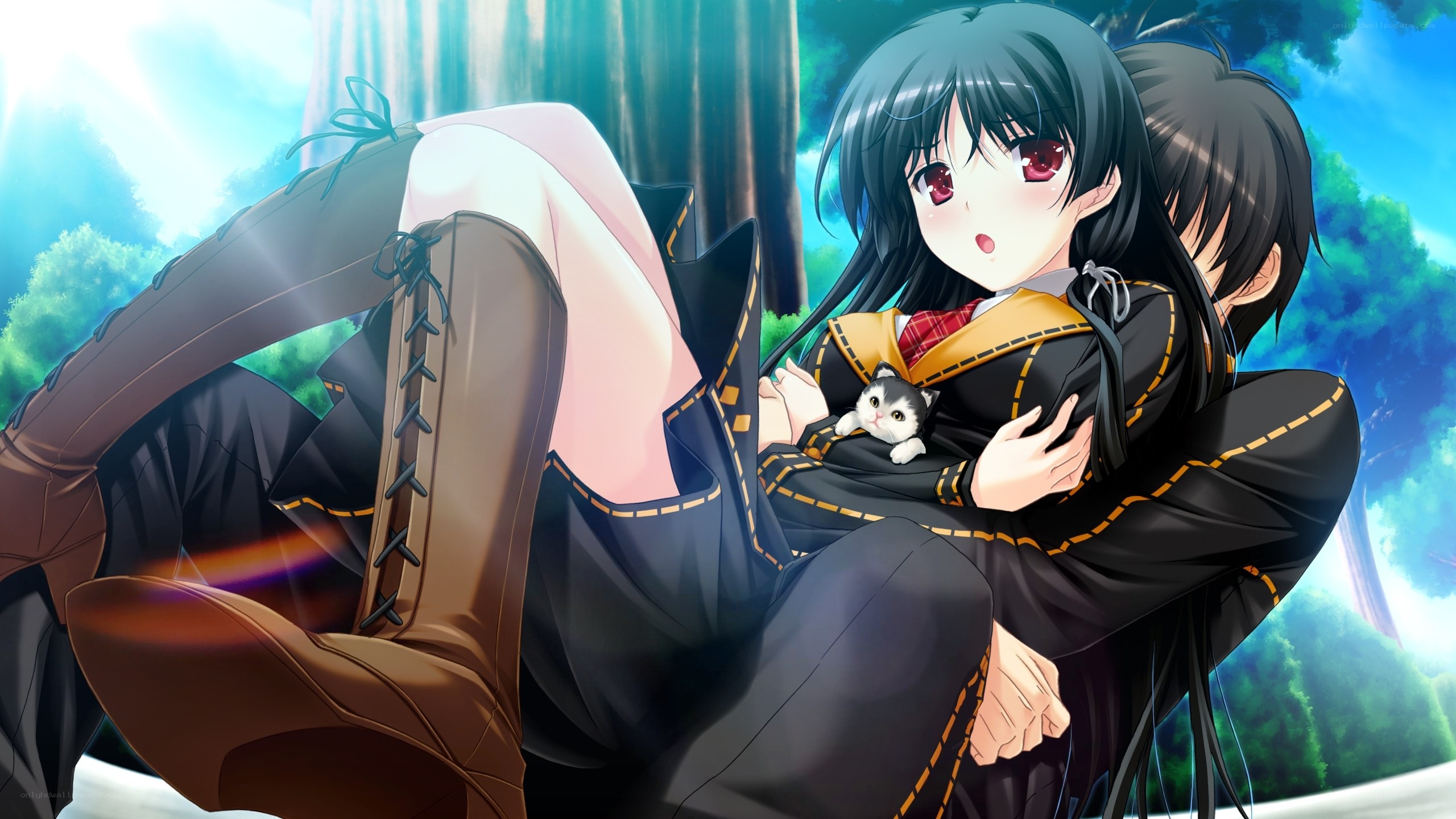Anime girl holding a kitten
