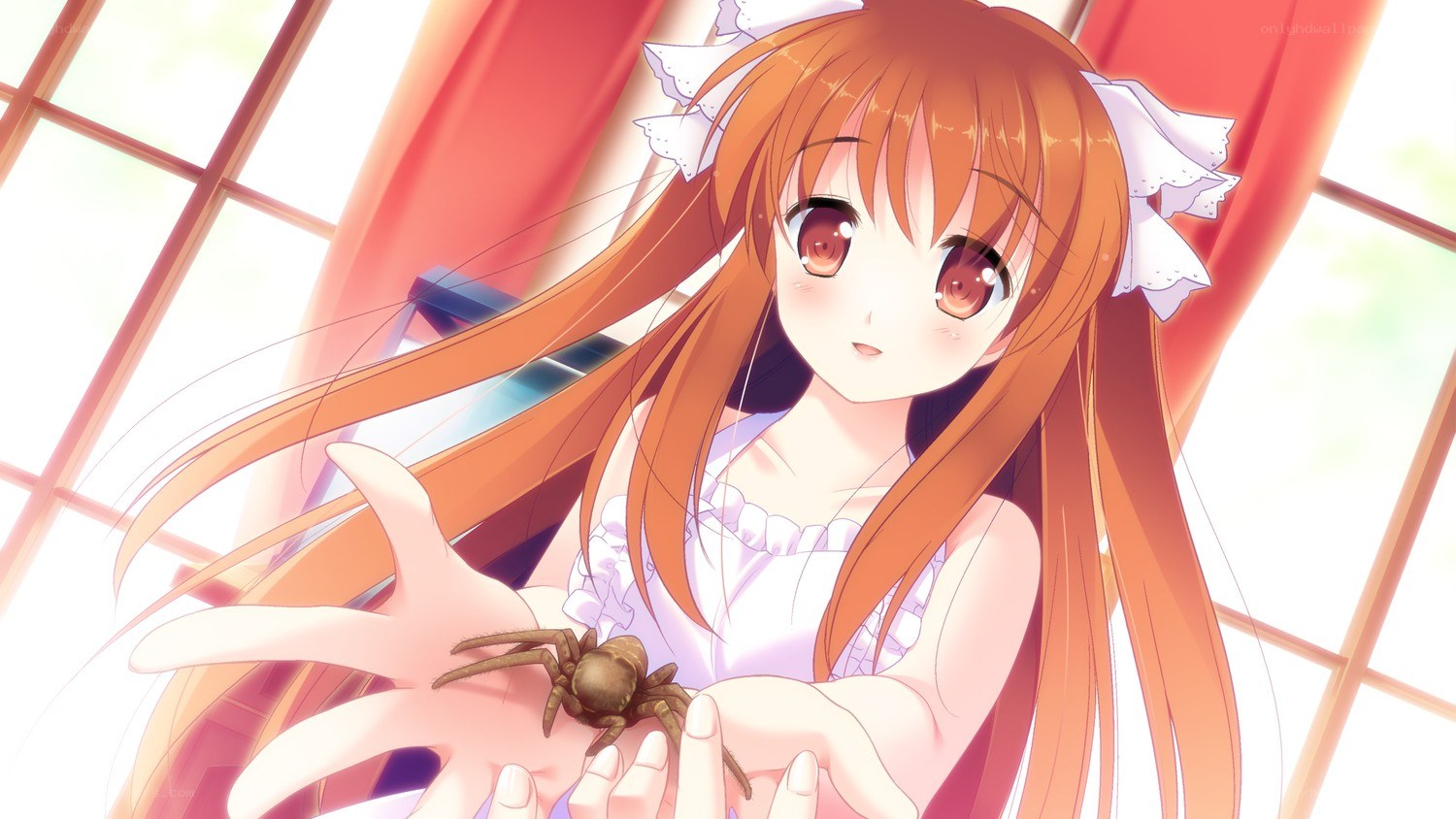 anime girl holding a spider