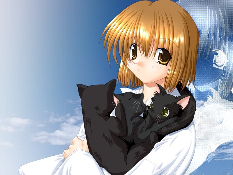 anime girl holding black cats