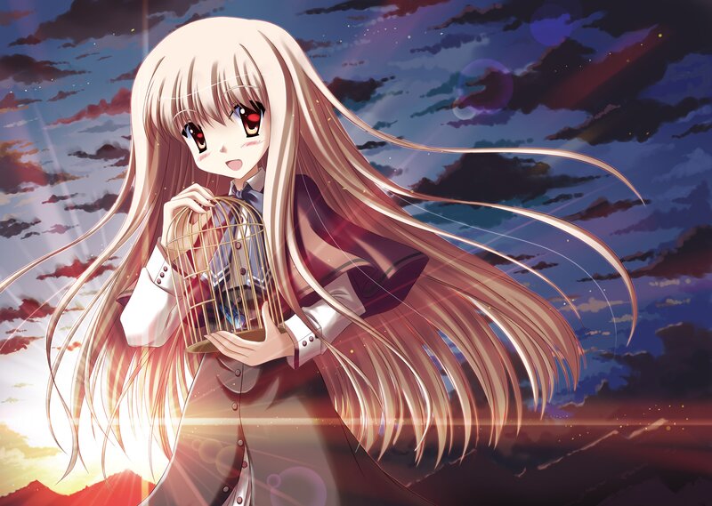 Anime Girl Holding Cage