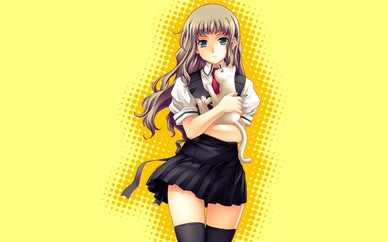 anime girl holding cat