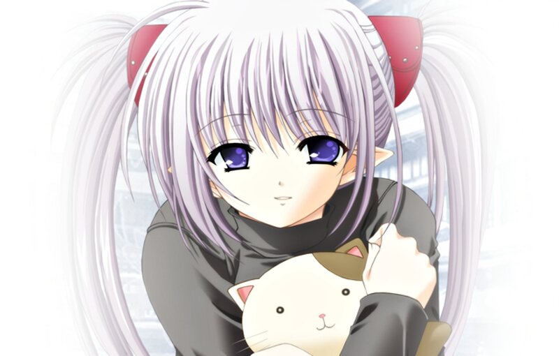Anime Girl Holding Cat — White, Calm