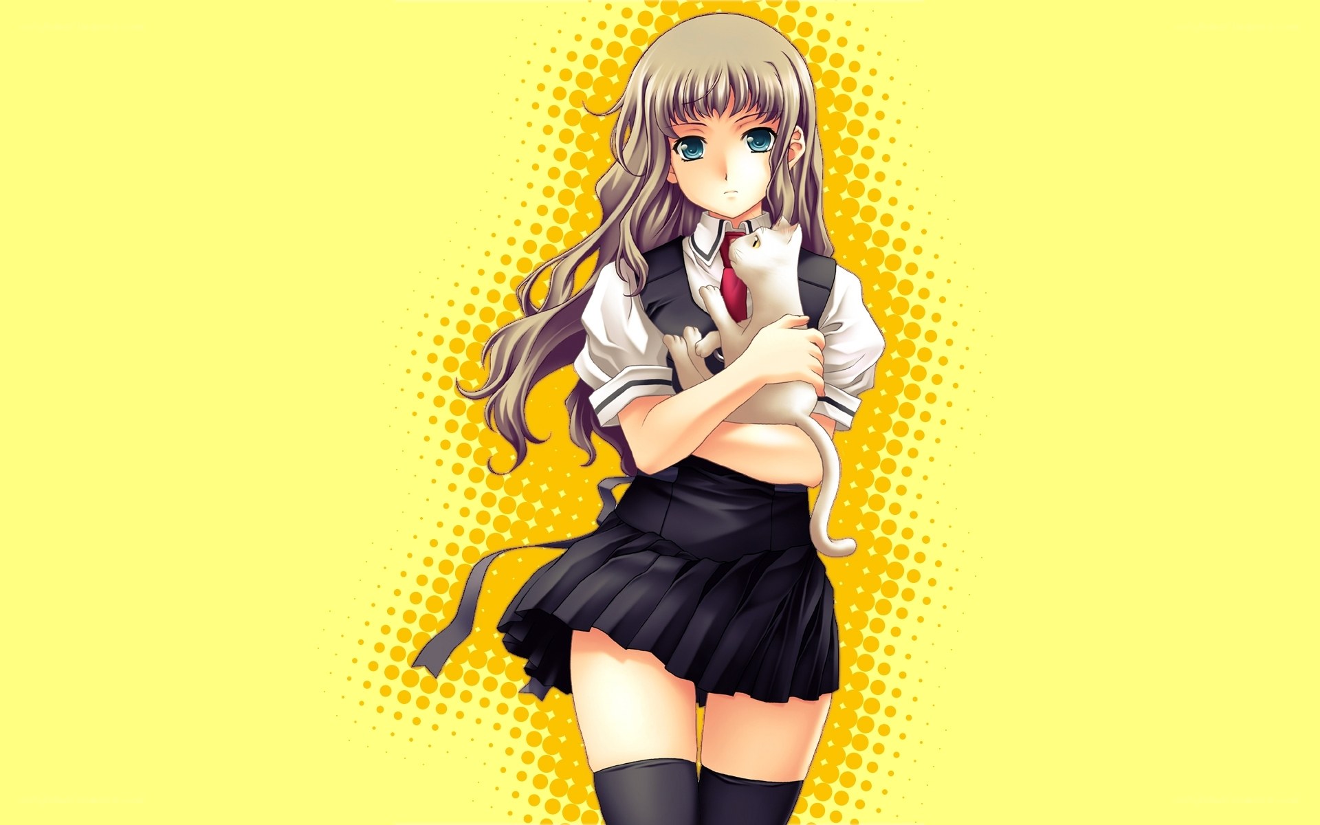 anime girl holding cat