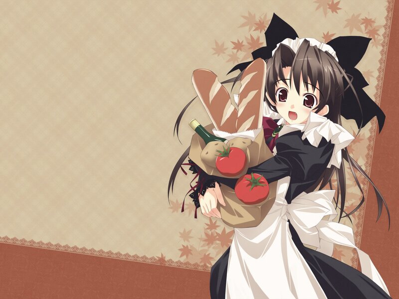 Anime Girl Holding Groceries