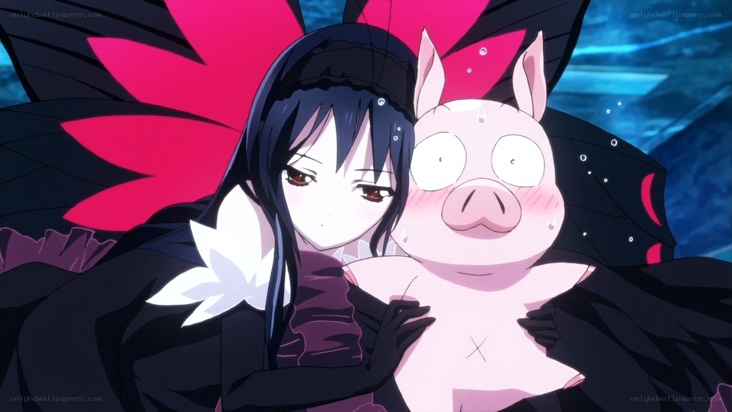 anime girl holding pig