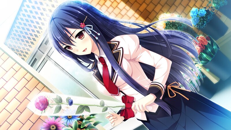 Anime Girl Holding Rose — Blue