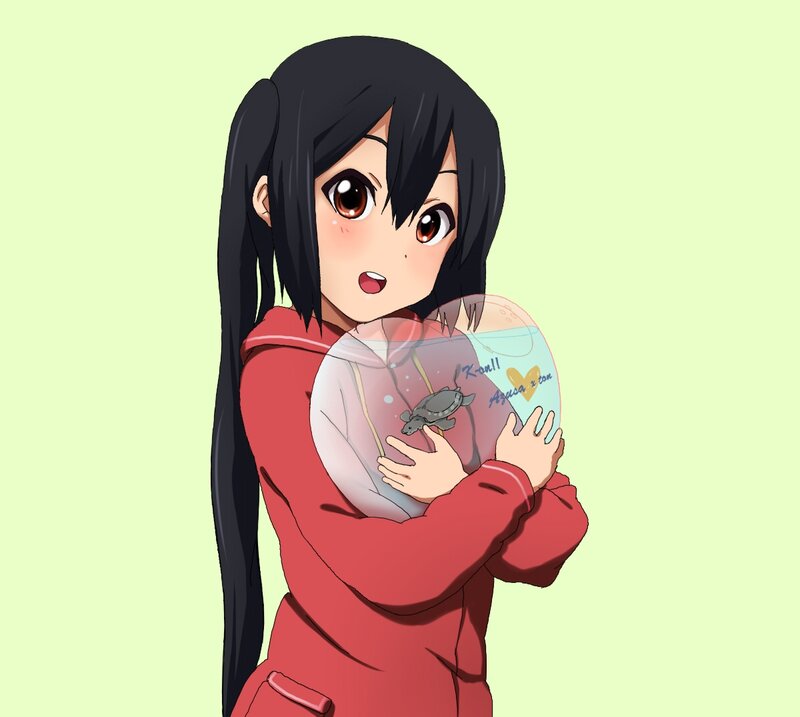 Anime Girl Holding Turtle