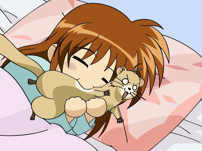 Anime girl hugging a ferret