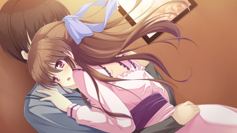 Anime Girl Hugging Person — Brown