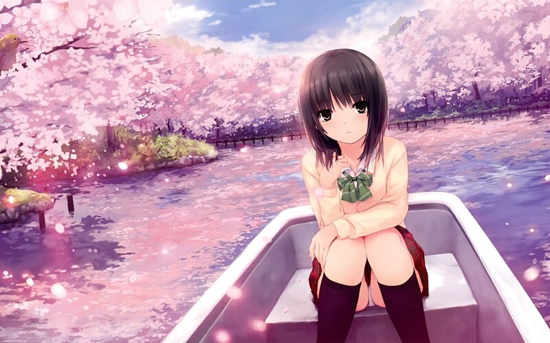 Anime girl in a boat under cherry blossoms