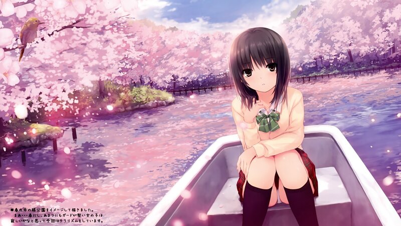 Anime girl in a boat under cherry blossoms