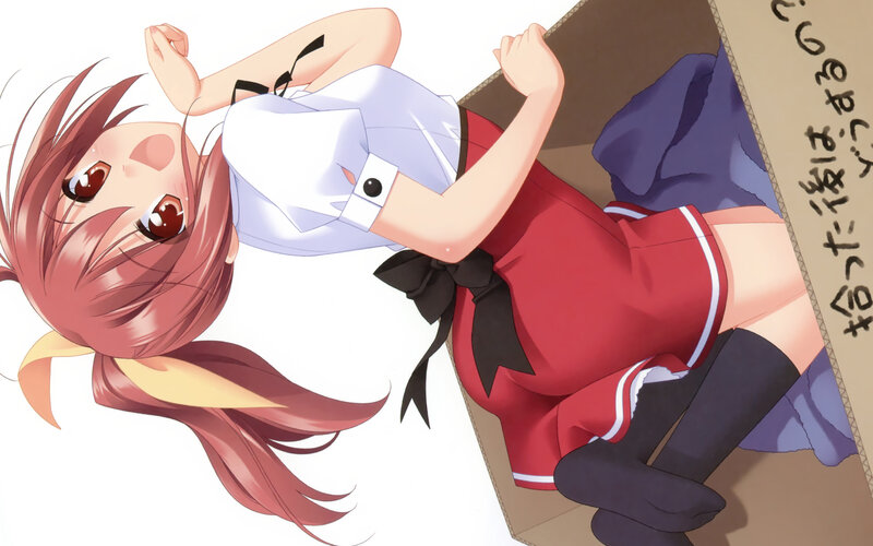 anime girl in a box