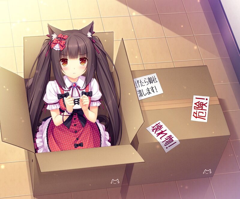 Anime Girl in a Box — Brown