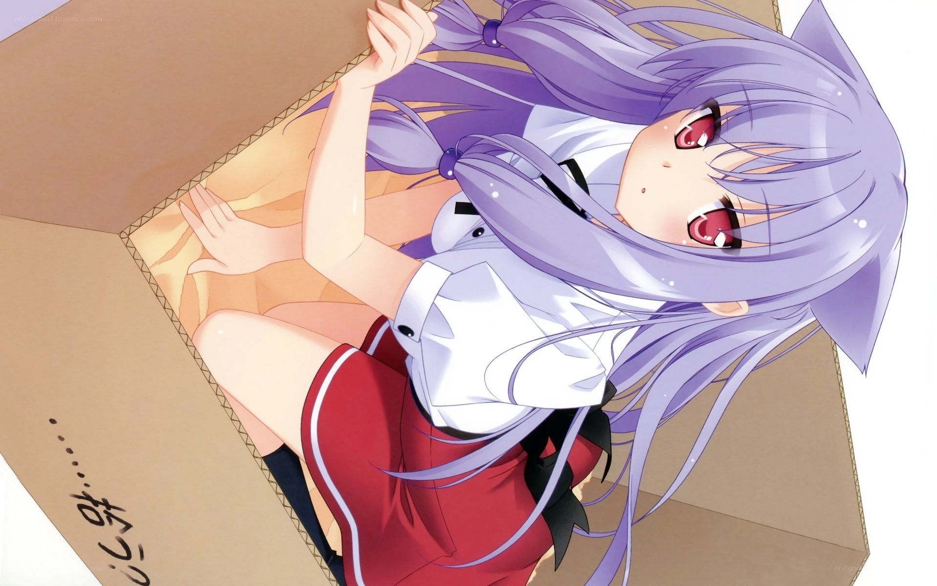 anime girl in a box