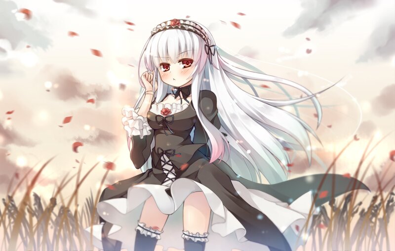 anime girl in a field