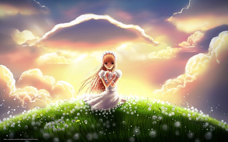 Anime girl in a field