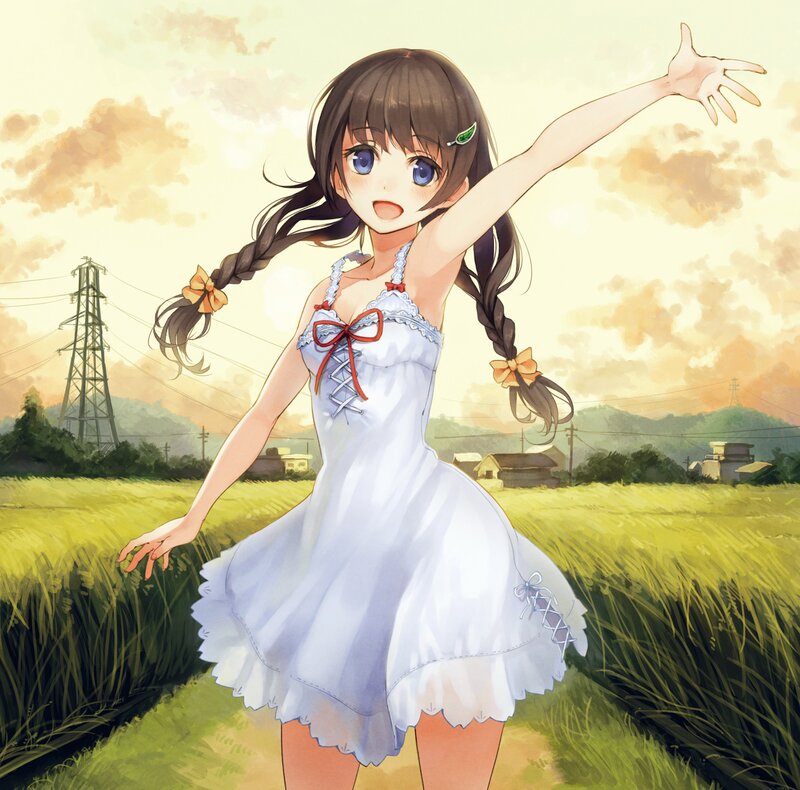 Anime girl in a field