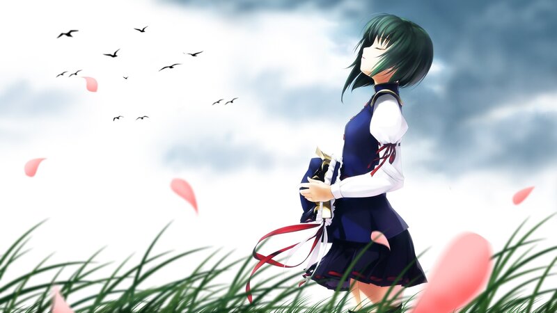anime girl in a field