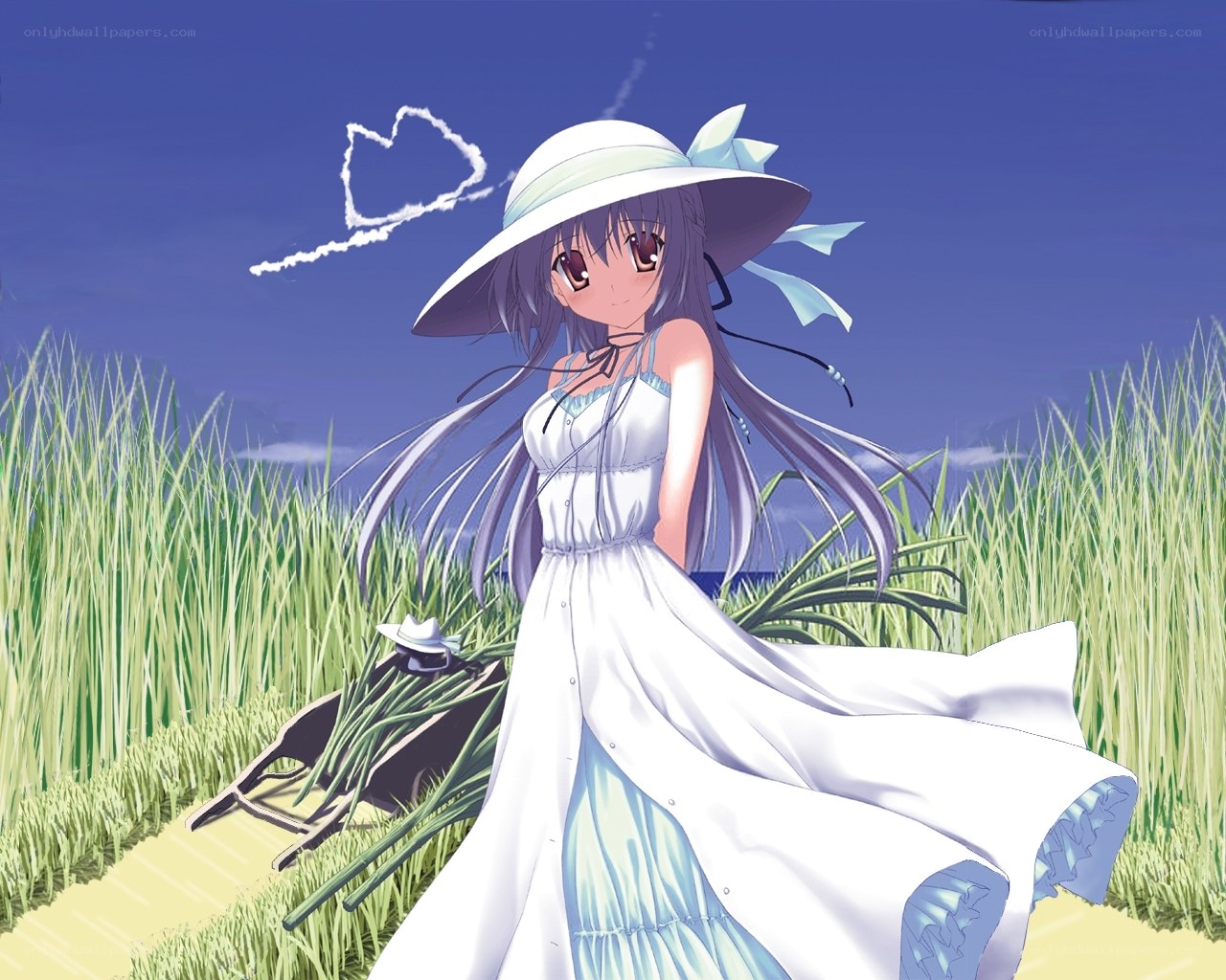 Anime girl in a field