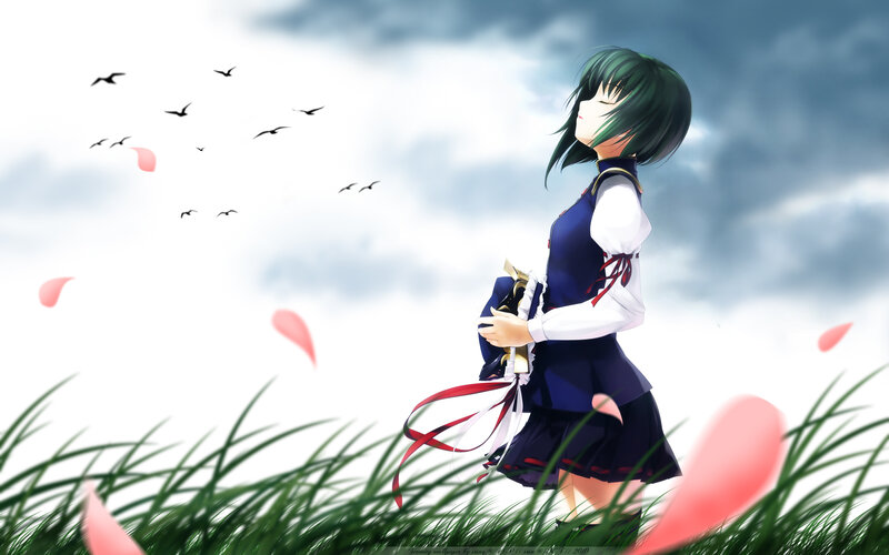 Anime girl in a field