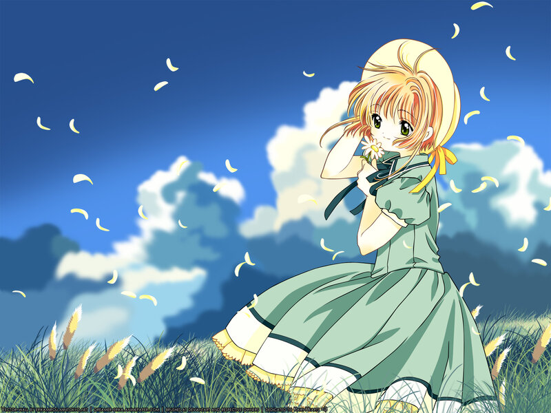 Anime girl in a field