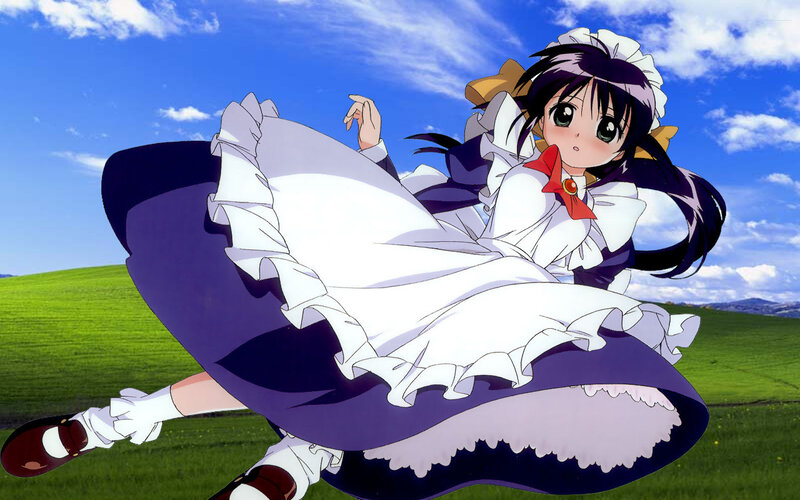anime girl in a field