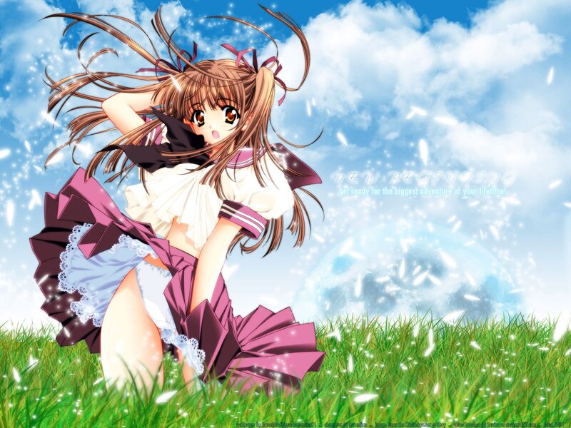 Anime girl in a field