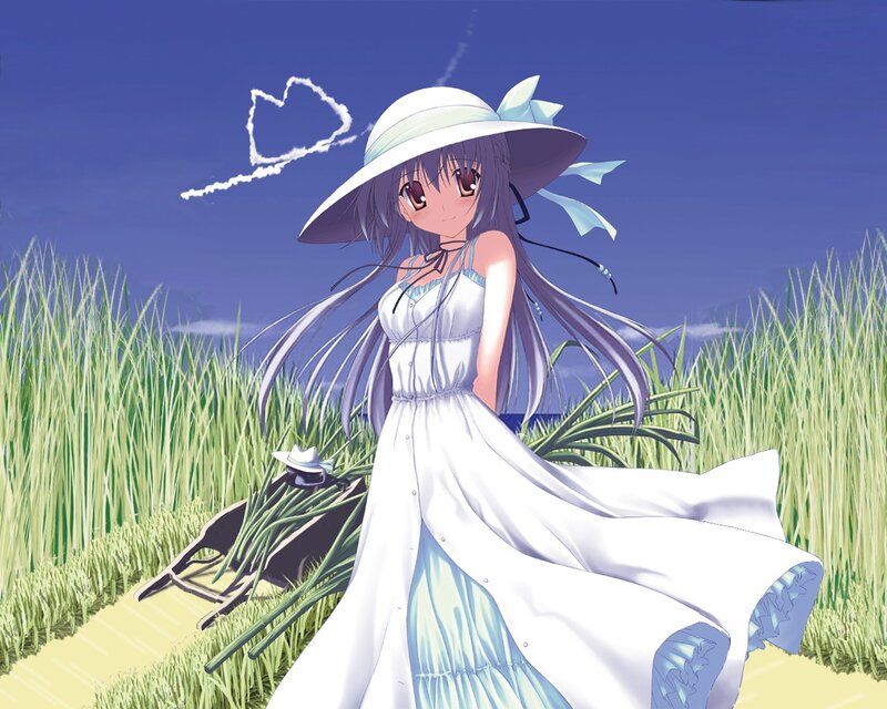 Anime girl in a field