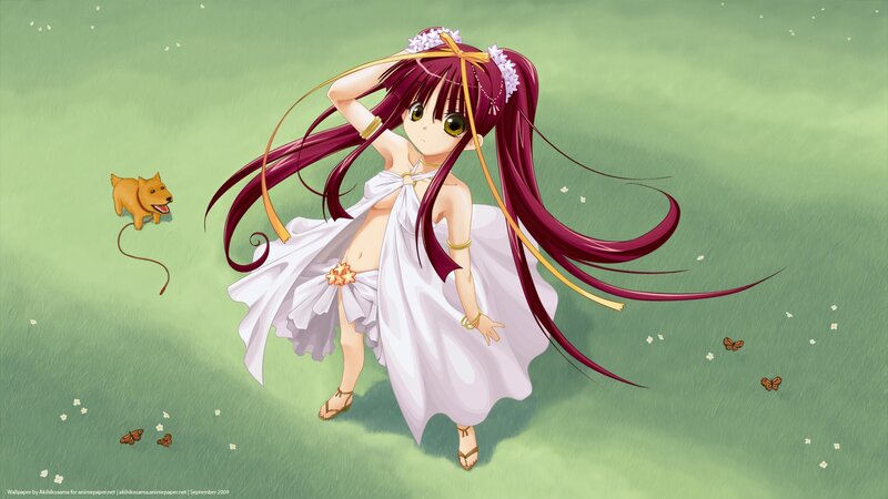 Anime girl in a field